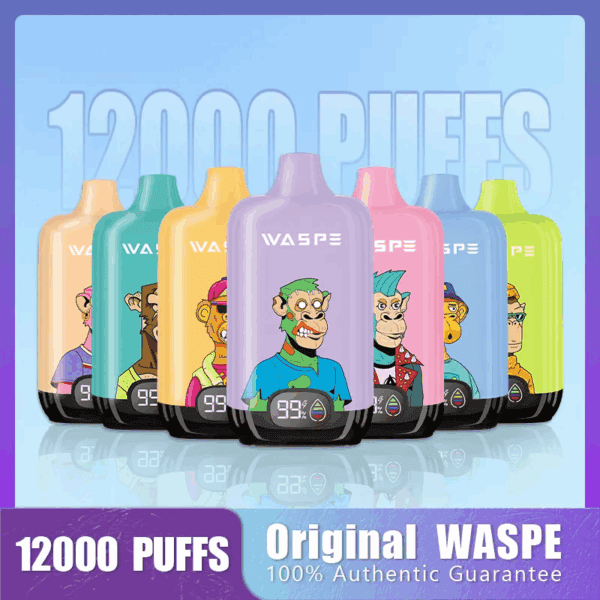 WASPE 12000 Digital Box