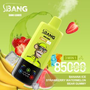 Vue alternative de Bang Leader 85000