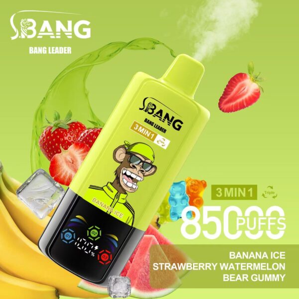 Bang Leader 85000 – Image 2