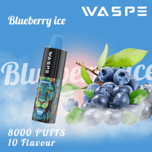 Alternative view of WASPE 8000