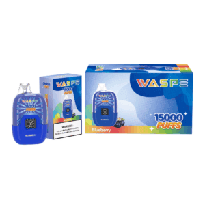 Alternative view of WASPE 15000 Digital Box