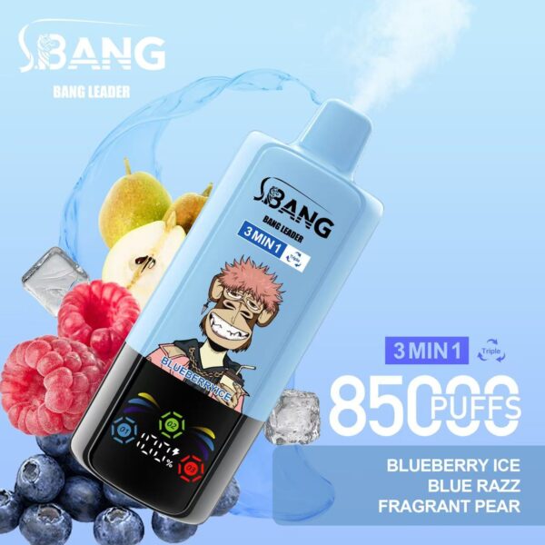Bang Leader 85000 – Image 4