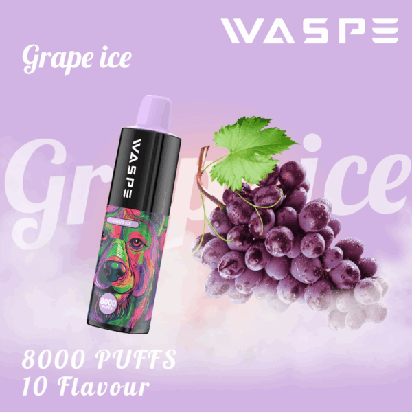 WASPE 8000 - Image 5