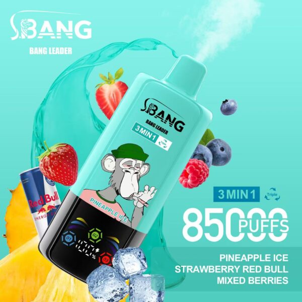 Bang Leader 85000 – Image 5