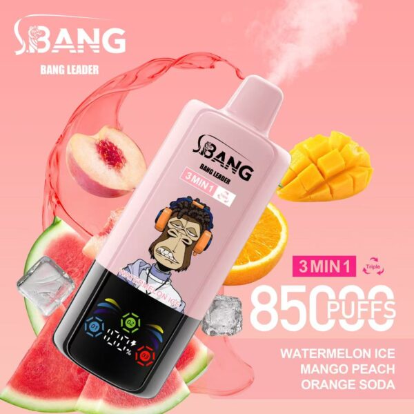Bang Leader 85000 – Image 6