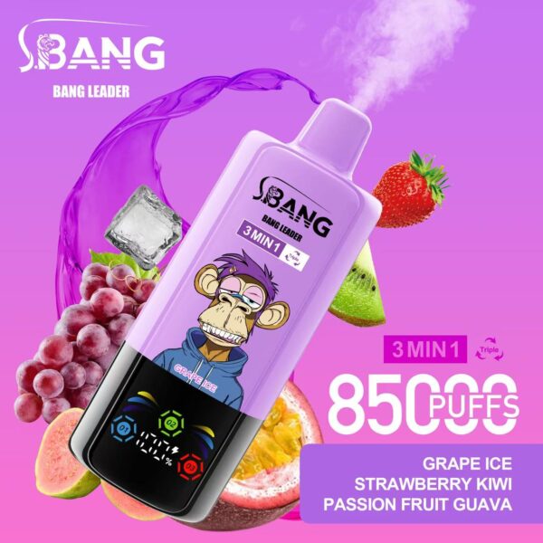 Bang Leader 85000 – Image 7