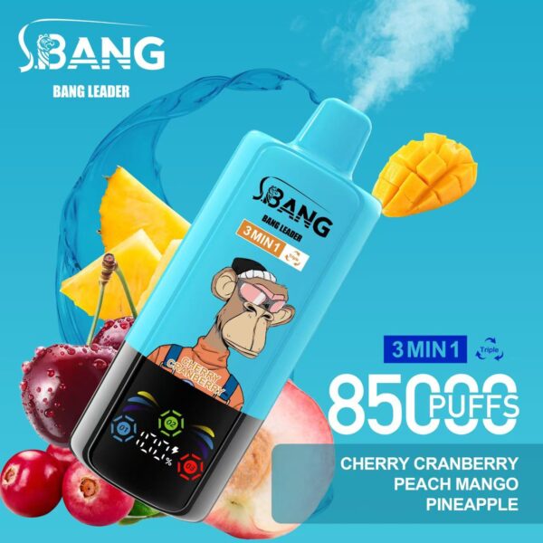 Bang Leader 85000 – Image 8
