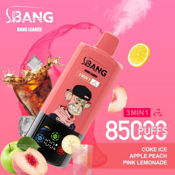 Bang Leader 85000 – Image 9