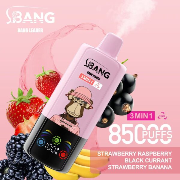 Bang Leader 85000 – Image 10