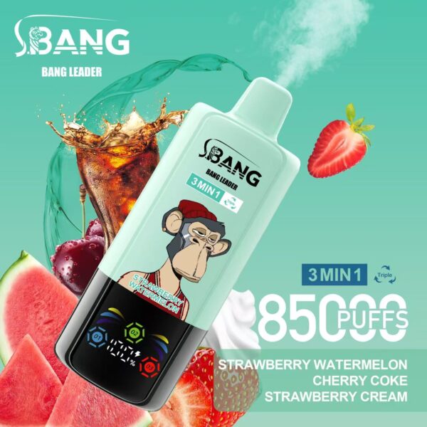 Bang Leader 85000 – Image 11