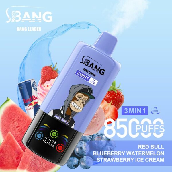 Bang Leader 85000 – Image 12