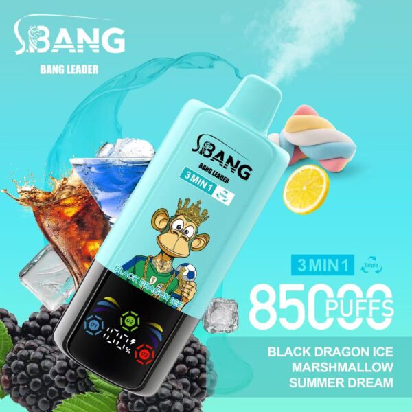 Bang Leader 85000 – Image 13