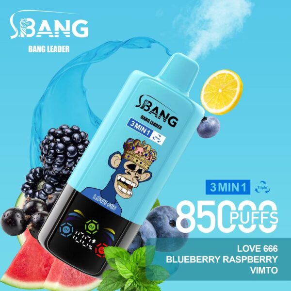 Bang Leader 85000 – Image 14