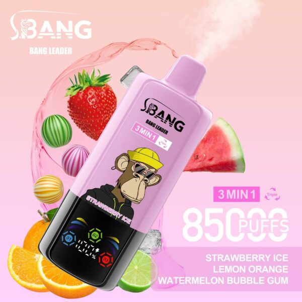 Bang Leader 85000 – Image 15