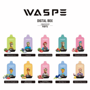 Alternative view of WASPE 12000 Digital Box