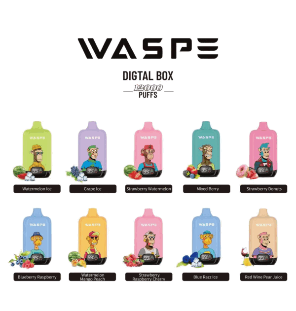 WASPE 12000 Digital Box - Image 2